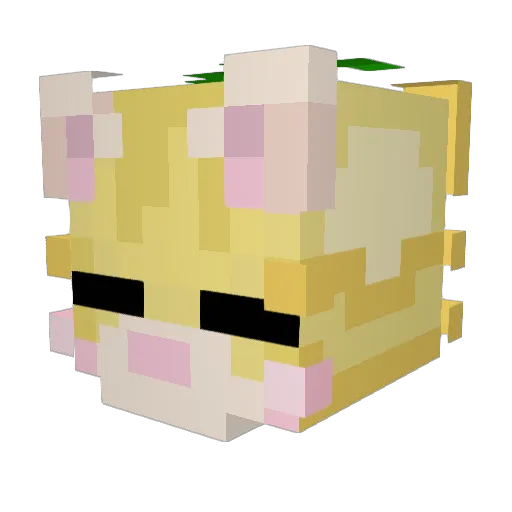 tyr6789 Minecraft avatar head, 3D render