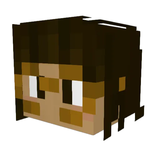 tyragallegos Minecraft avatar head, 3D render