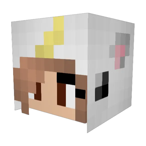 tyrahaddock Minecraft avatar head, 3D render