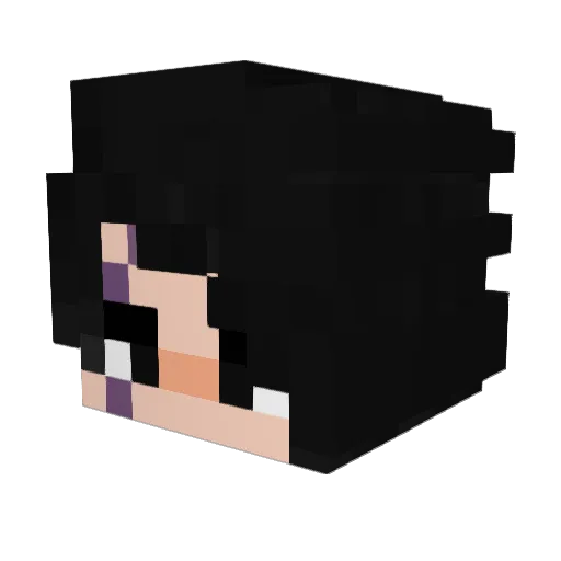 tyrania210 Minecraft avatar head, 3D render