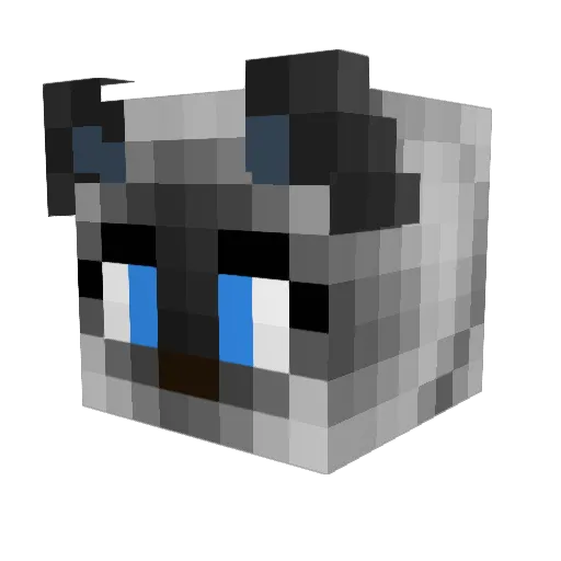 tyrchen Minecraft avatar head, 3D render