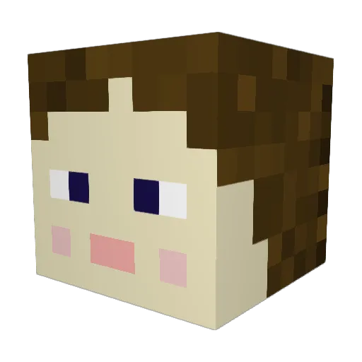 tyri007 Minecraft avatar head, 3D render