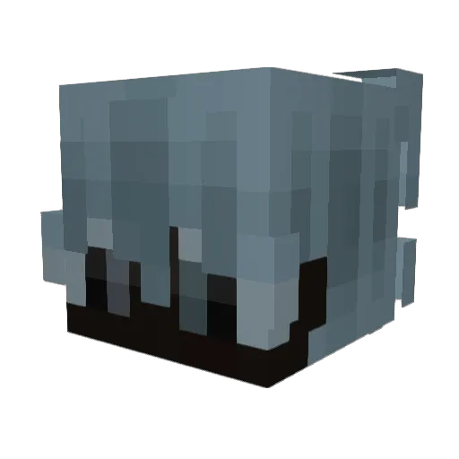 tyrooll Minecraft avatar head, 3D render
