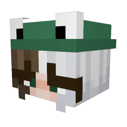 tyso22 Minecraft avatar head, 3D render