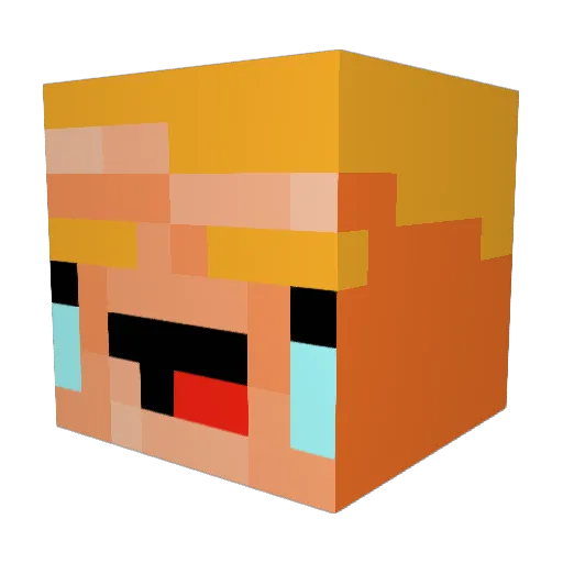 tysonluv69 Minecraft avatar head, 3D render