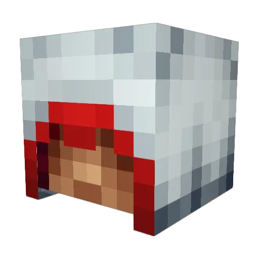 tysonrox07 Minecraft avatar head, 3D render