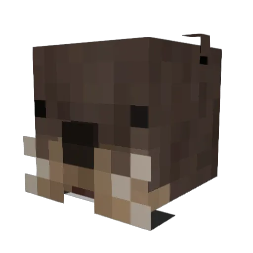 tyttuut Minecraft avatar head, 3D render