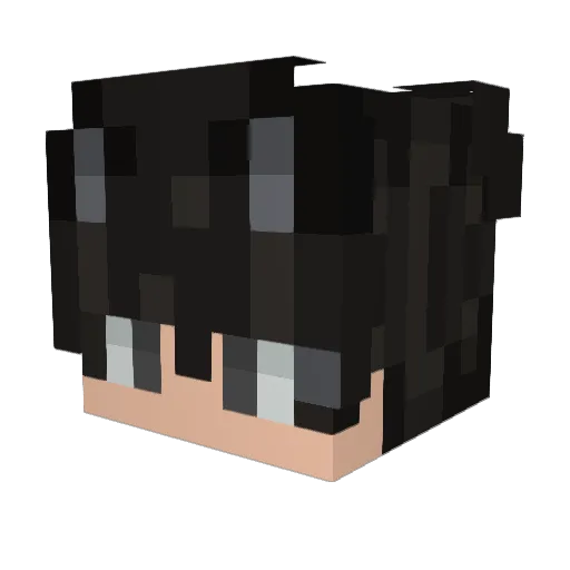 tyuiophkjg Minecraft avatar head, 3D render