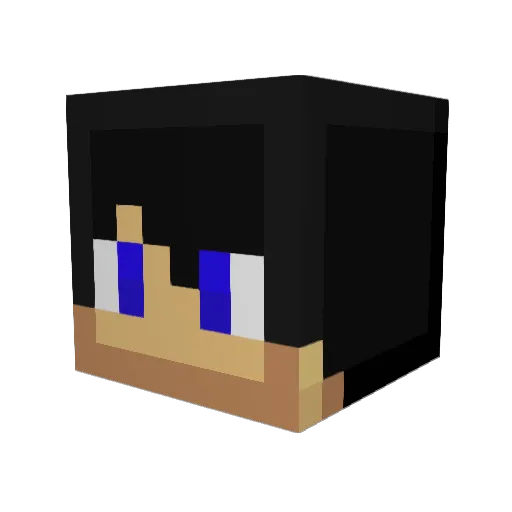 tywbh Minecraft avatar head, 3D render