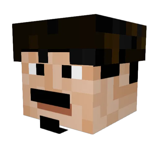 tywhite321 Minecraft avatar head, 3D render