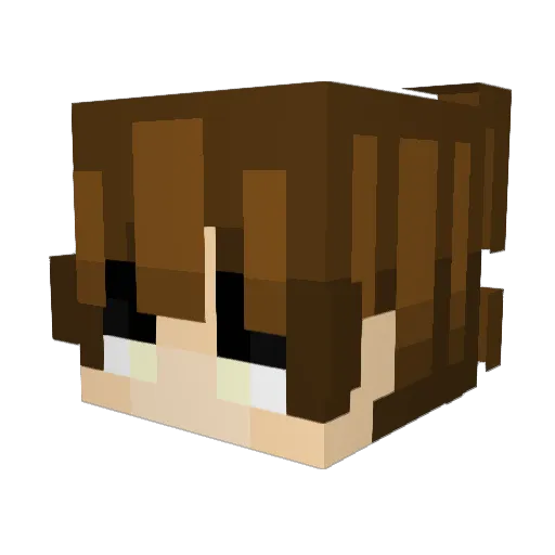 tyxy Minecraft avatar head, 3D render