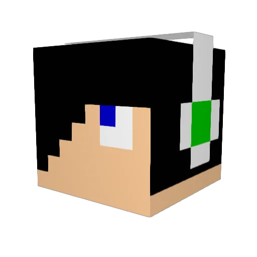 tyygy Minecraft avatar head, 3D render