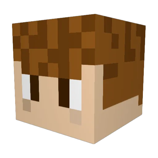 tyyyp Minecraft avatar head, 3D render