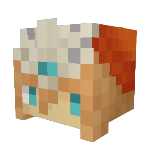 tzkz Minecraft avatar head, 3D render