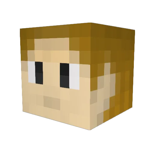tzrwicks Minecraft avatar head, 3D render