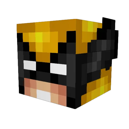 tzuyuism Minecraft avatar head, 3D render