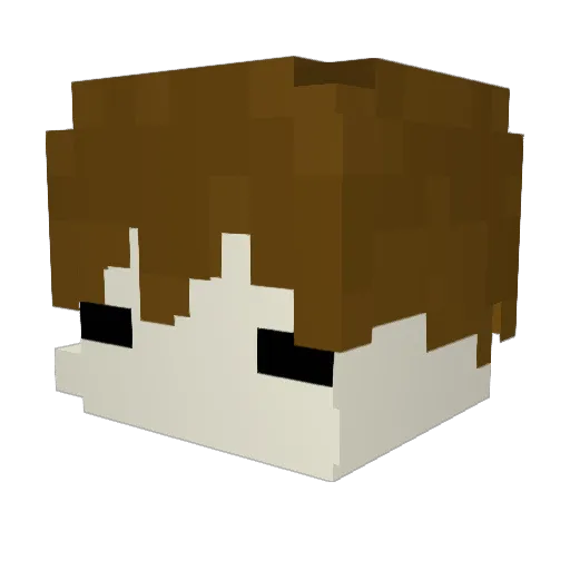 tzwzzkz Minecraft avatar head, 3D render