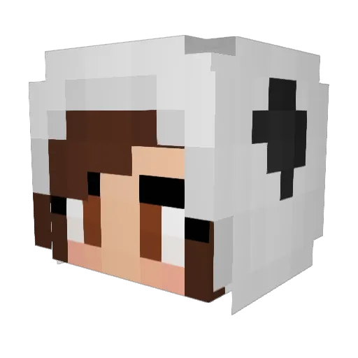 u2grounds Minecraft avatar head, 3D render