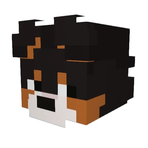 u4h Minecraft avatar head, 3D render