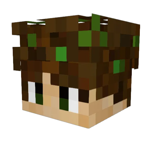 uBasil_ Minecraft avatar head, 3D render
