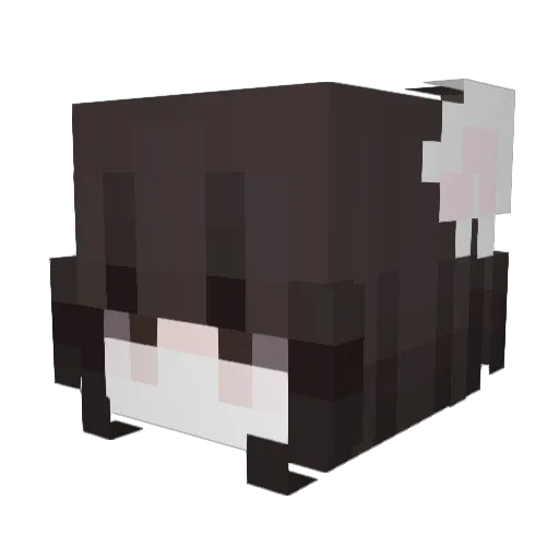 uCharlotte Minecraft avatar head, 3D render