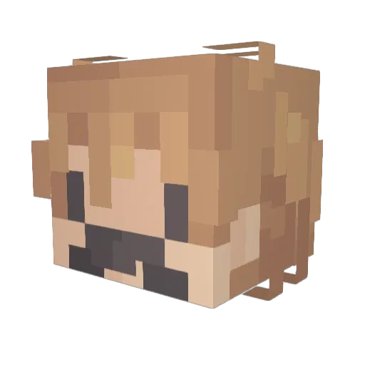 uD0nN00d1es Minecraft avatar head, 3D render