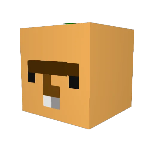 u_now Minecraft avatar head, 3D render