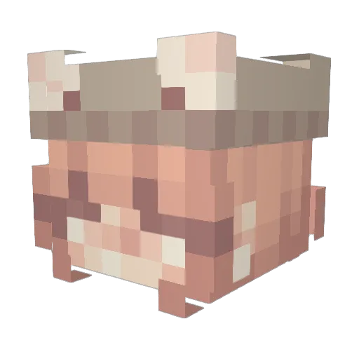 u_ouii Minecraft avatar head, 3D render