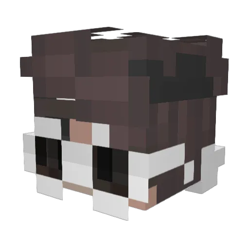 ucfk Minecraft avatar head, 3D render