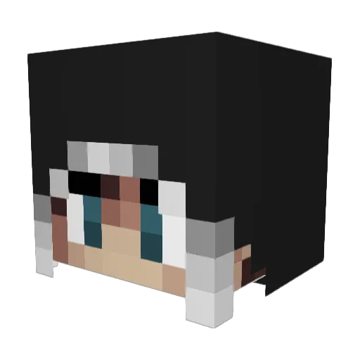 udhs Minecraft avatar head, 3D render