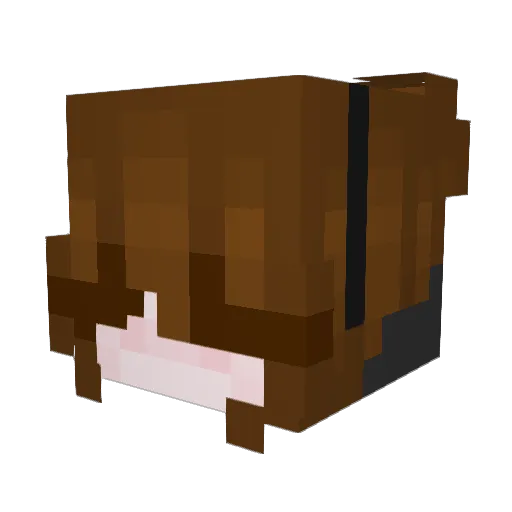udoca Minecraft avatar head, 3D render