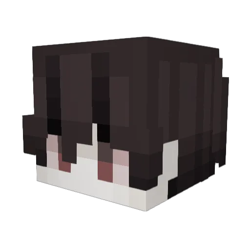 uez Minecraft avatar head, 3D render