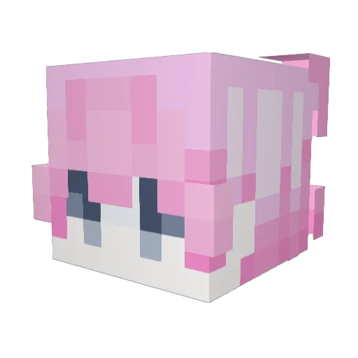 ufsm Minecraft avatar head, 3D render