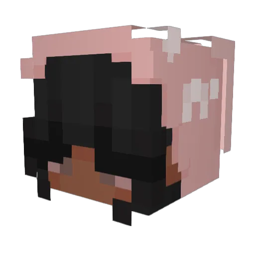 ufwnic Minecraft avatar head, 3D render