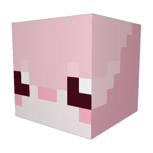 uga69 Minecraft avatar head, 3D render