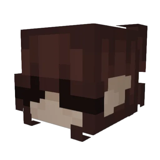 ugh_tanaaa Minecraft avatar head, 3D render