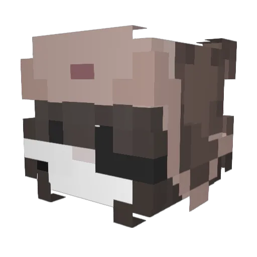 ughsofia Minecraft avatar head, 3D render