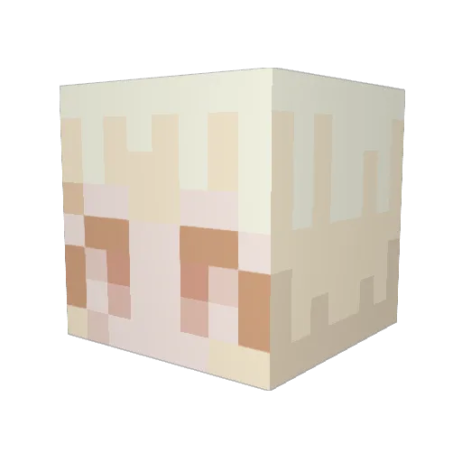 uglock Minecraft avatar head, 3D render