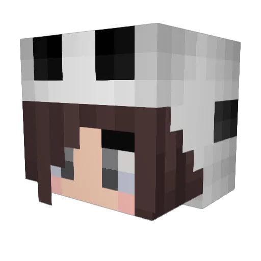 ugnip Minecraft avatar head, 3D render