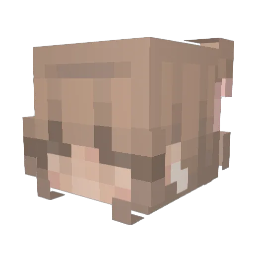 uh12 Minecraft avatar head, 3D render