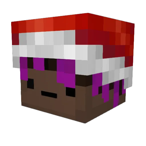 uh_FOOF_uh Minecraft avatar head, 3D render