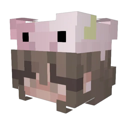 uhava Minecraft avatar head, 3D render