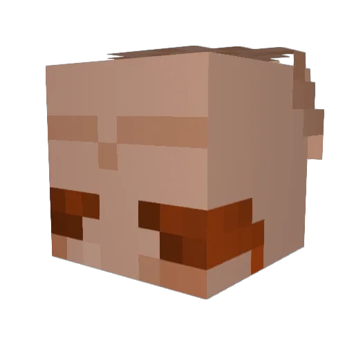 uhaveligma Minecraft avatar head, 3D render