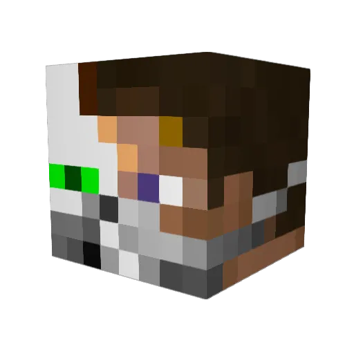 uhgooglie Minecraft avatar head, 3D render