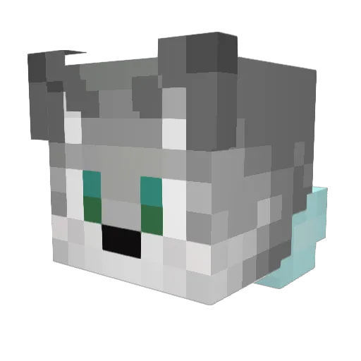 uhhwhatdahell Minecraft avatar head, 3D render