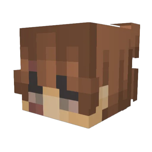 ui18_ Minecraft avatar head, 3D render