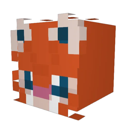 uin_uin Minecraft avatar head, 3D render