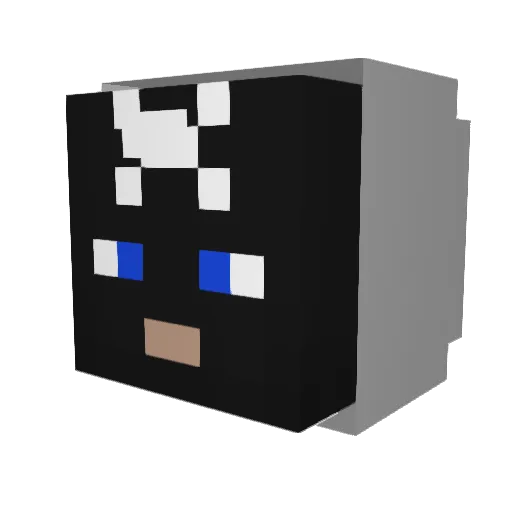 ujif11 Minecraft avatar head, 3D render