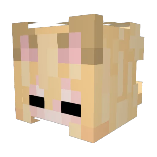 ujimaccha Minecraft avatar head, 3D render