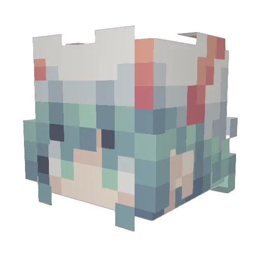 ujm2346 Minecraft avatar head, 3D render